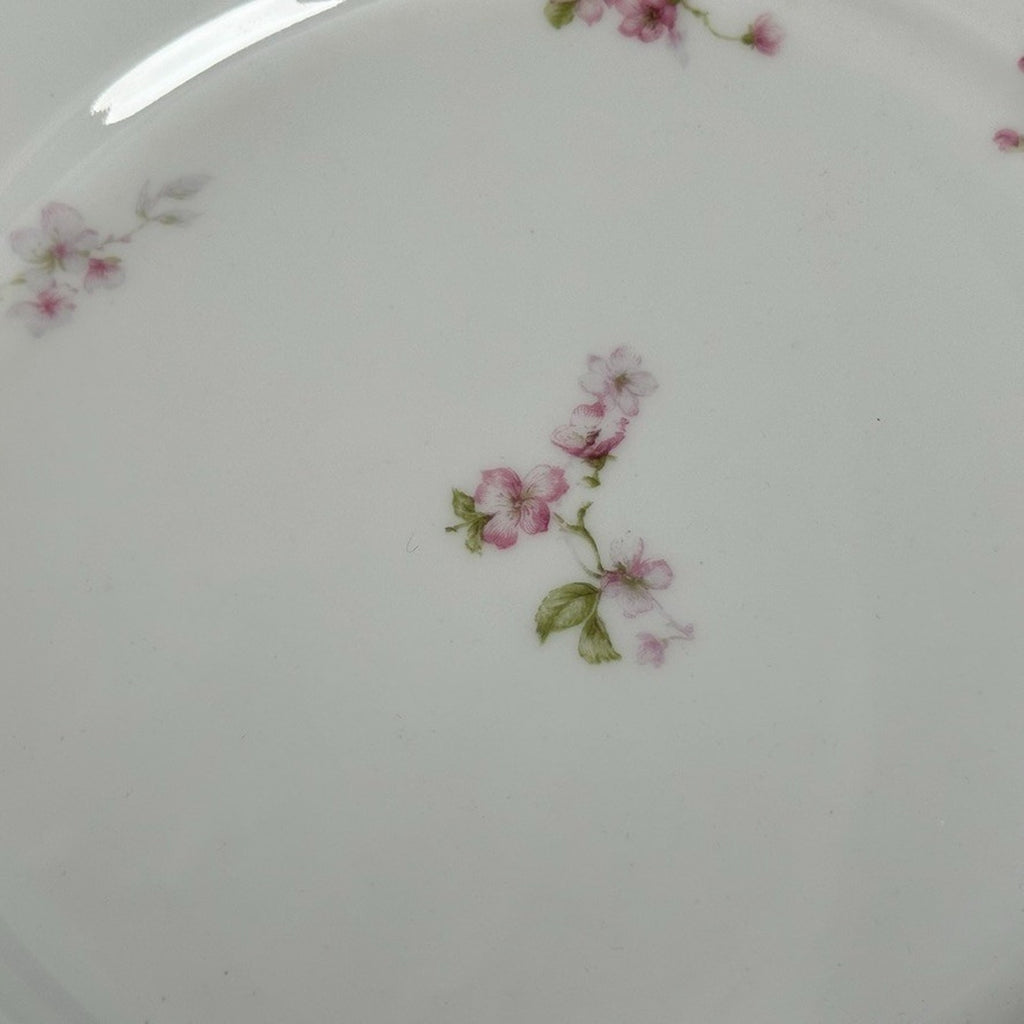 Pair of 2 Antique Haviland Limoges Schleiger 37 Dinner Plates 9.5" Pink Blossom
