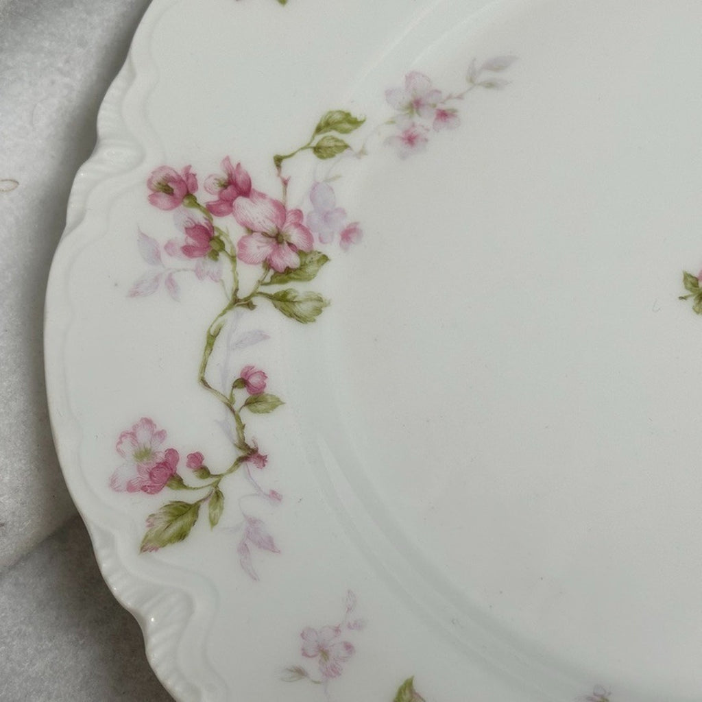 Pair of 2 Antique Haviland Limoges Schleiger 37 Dinner Plates 9.5" Pink Blossom