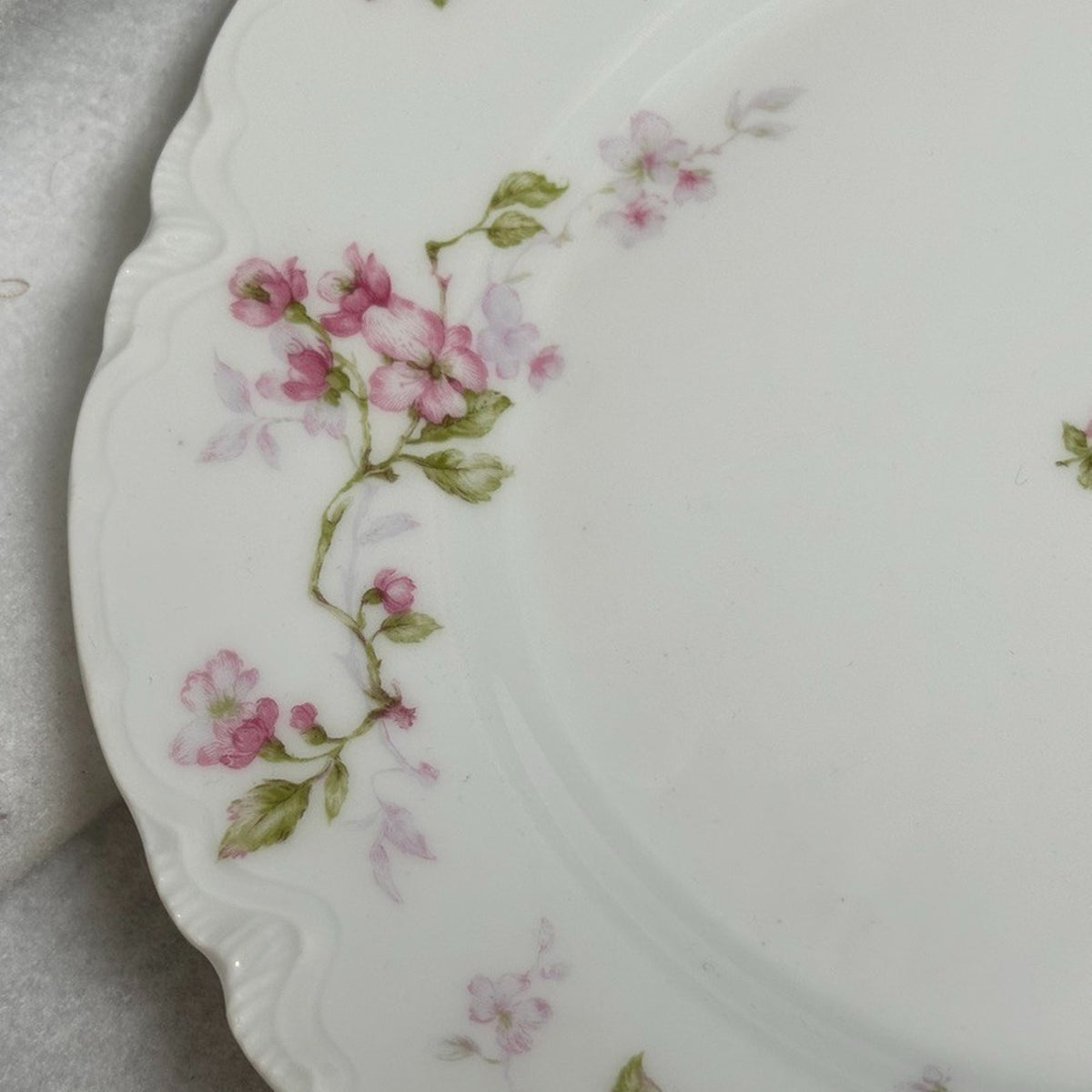 Pair of 2 Antique Haviland Limoges Schleiger 37 Dinner Plates 9.5" Pink Blossom