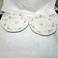 Pair of 2 Antique Haviland Limoges Schleiger 37 Dinner Plates 9.5" Pink Blossom