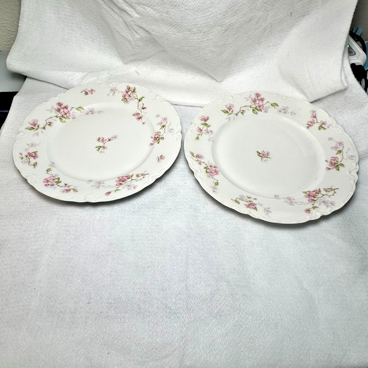 Pair of 2 Antique Haviland Limoges Schleiger 37 Dinner Plates 9.5" Pink Blossom
