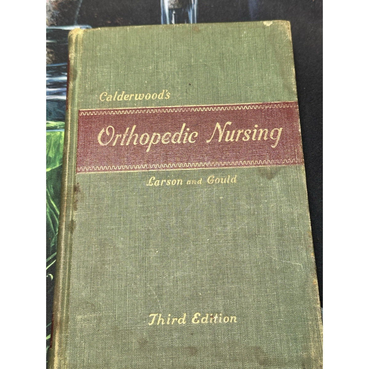 Orthopedic Nursing by Marjorie Gould and Carroll Bernard Larson (Hardcover)