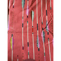 OOP 2014 Cotton + Steel /Melody Miller /"Mustang Arrows" Coral -24" HTF