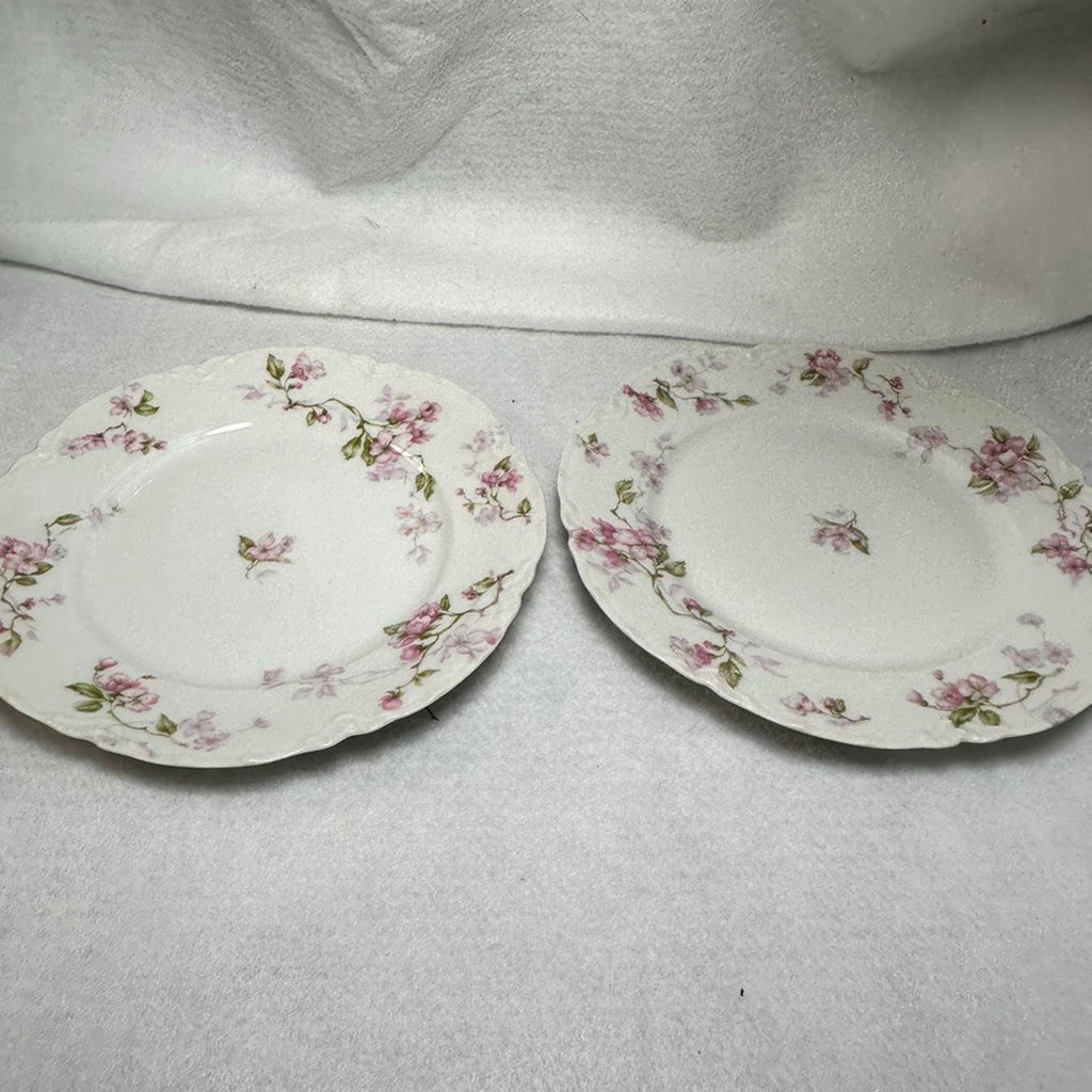 Set of 6 Antique Haviland Limoges Schleiger 37 Plates (2x 7.25" & 4x 6.25")