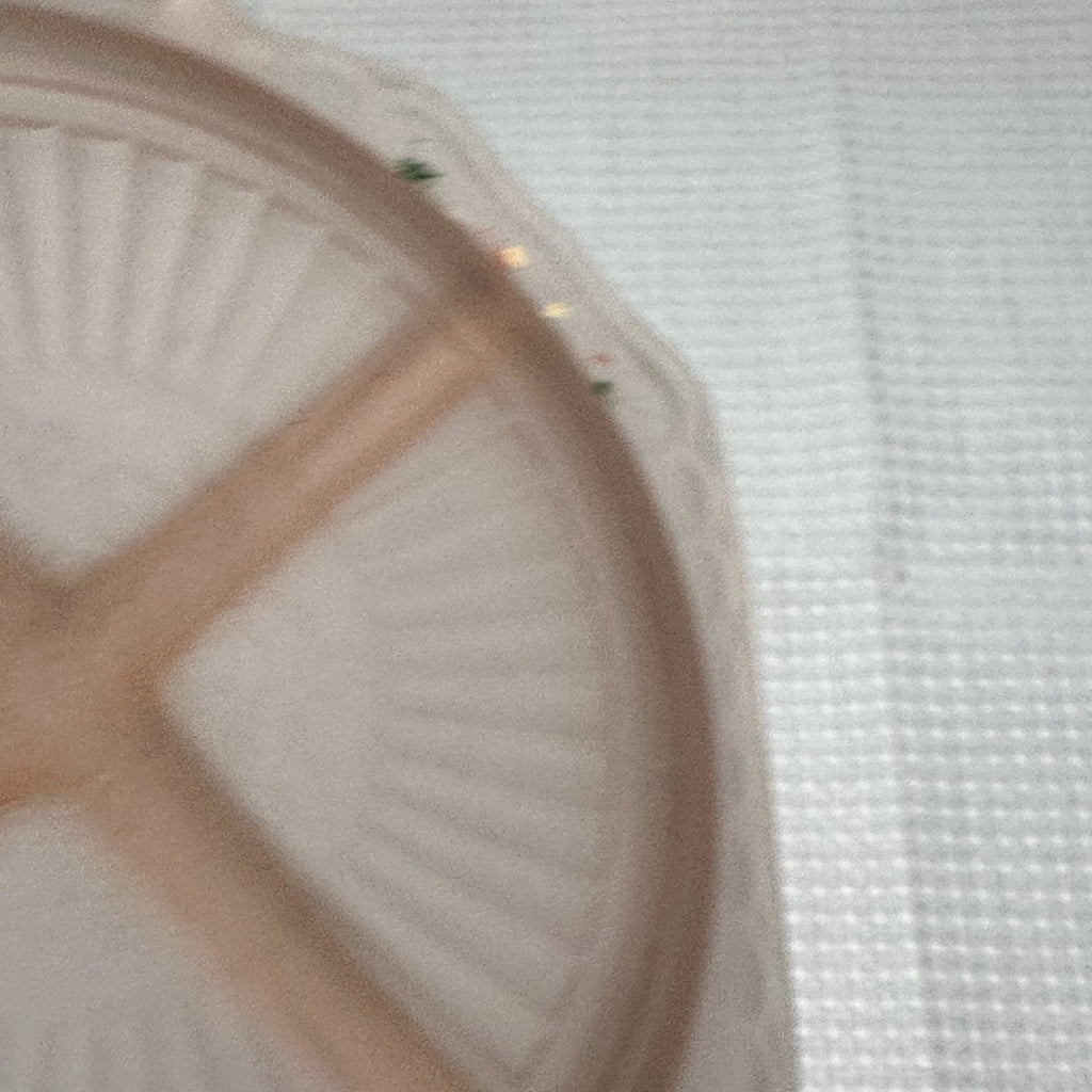 Lot of 2 VTG Mayfair Frosted Pink Depression Glass Serving and Relish Bowl Paint