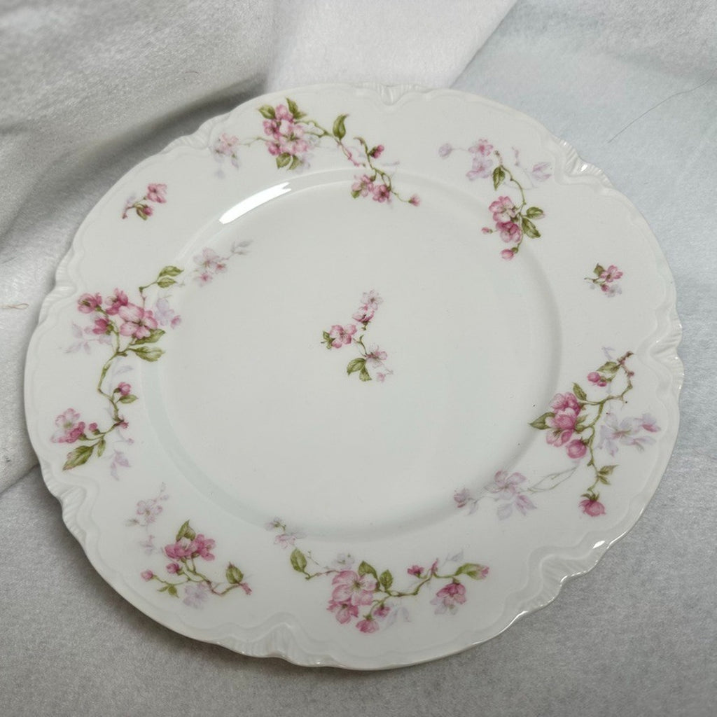 Pair of 2 Antique Haviland Limoges Schleiger 37 Dinner Plates 9.5" Pink Blossom