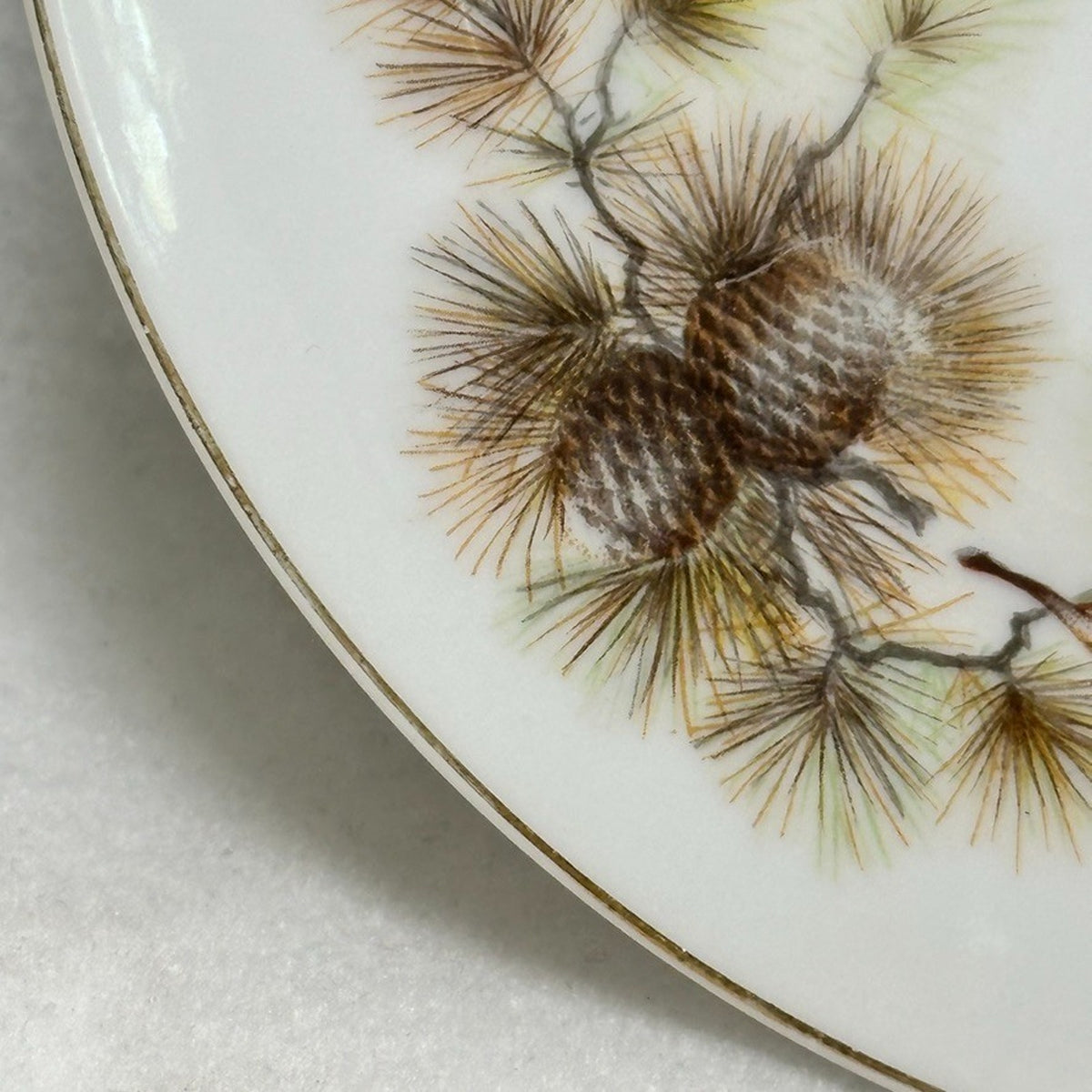 Vintage Gem China Japan Pinecone Teacups Saucers Plates Sugar Bowl Set